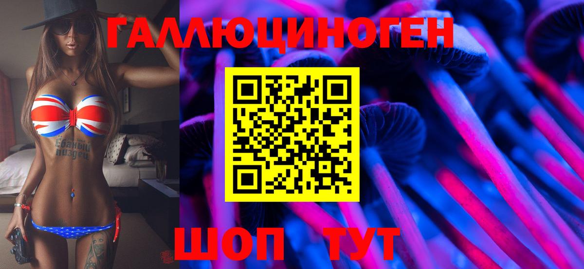 Галлюциногенные грибы GOLDEN TEACHER  Вход с VPN  где продают   Псилоцибиновые грибы мицелий  Холмск 